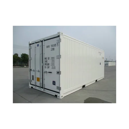 Container 20 Pieds Frigorifique Reefer Neuf